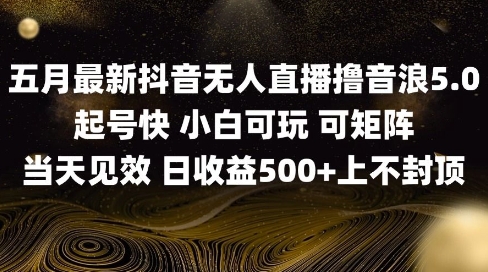 2025五月最新无人直播撸音浪单日产出5张+实操教程【揭秘】-聚业