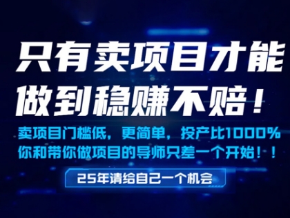 只有卖项目才能做到稳挣不赔，门槛低，更简单，你也可以年入百个W【揭秘】-聚业