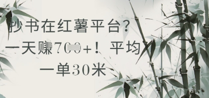 抄书在小红薯平台？平均一单30米，一天收益几张！-聚业