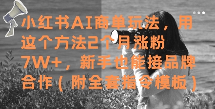 小红书AI商单玩法，用这个方法2个月涨粉7W+，新手也能接品牌合作(附全套指令模板)-聚业