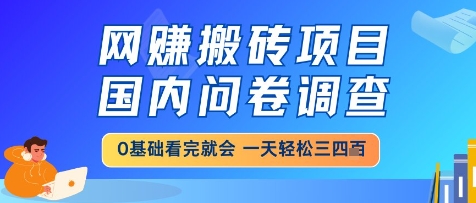 网创搬砖项目，国内问卷调查，小白轻松上手，一天三四张的也不难，干就完了【揭秘】-聚业