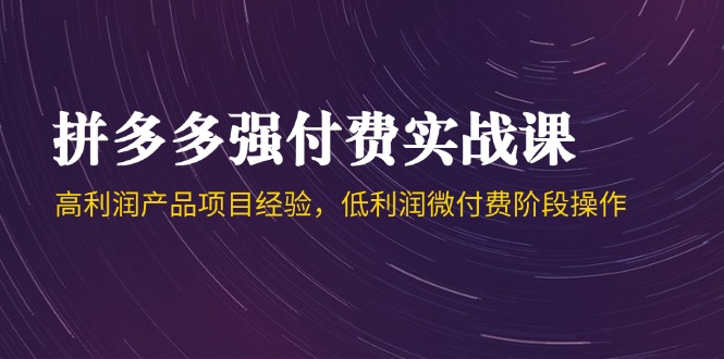 拼多多强付费实战课-44期，高利润产品项目经验，低利润微付费阶段操作-聚业