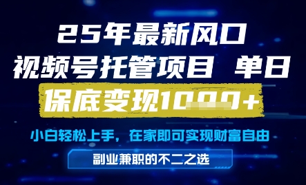25年最新风口，视频号托管项目，单日保底变现1k+，手把手教学【揭秘】-聚业