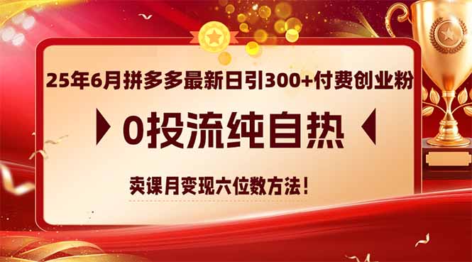 25年6月拼多多最新日引300+付费创业粉，0投流纯自热 卖课月变现六位数方法-聚业