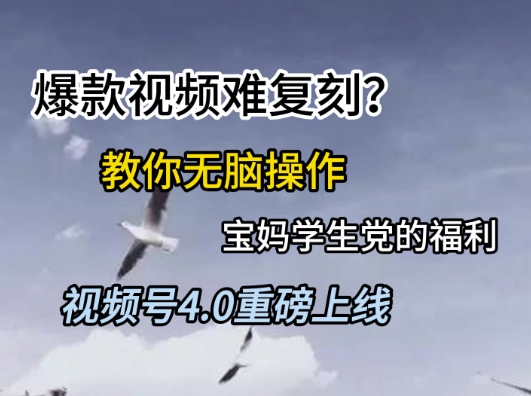视频号4.0重磅上线，爆款视频难复刻？教你无脑操作宝妈学生党的福利【揭秘】-聚业
