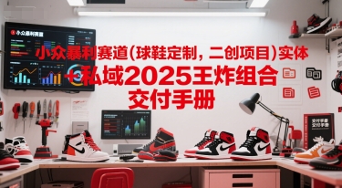 小众暴利赛道(球鞋定制，二创项目)实体+私域2025王炸组合  交付手册-聚业