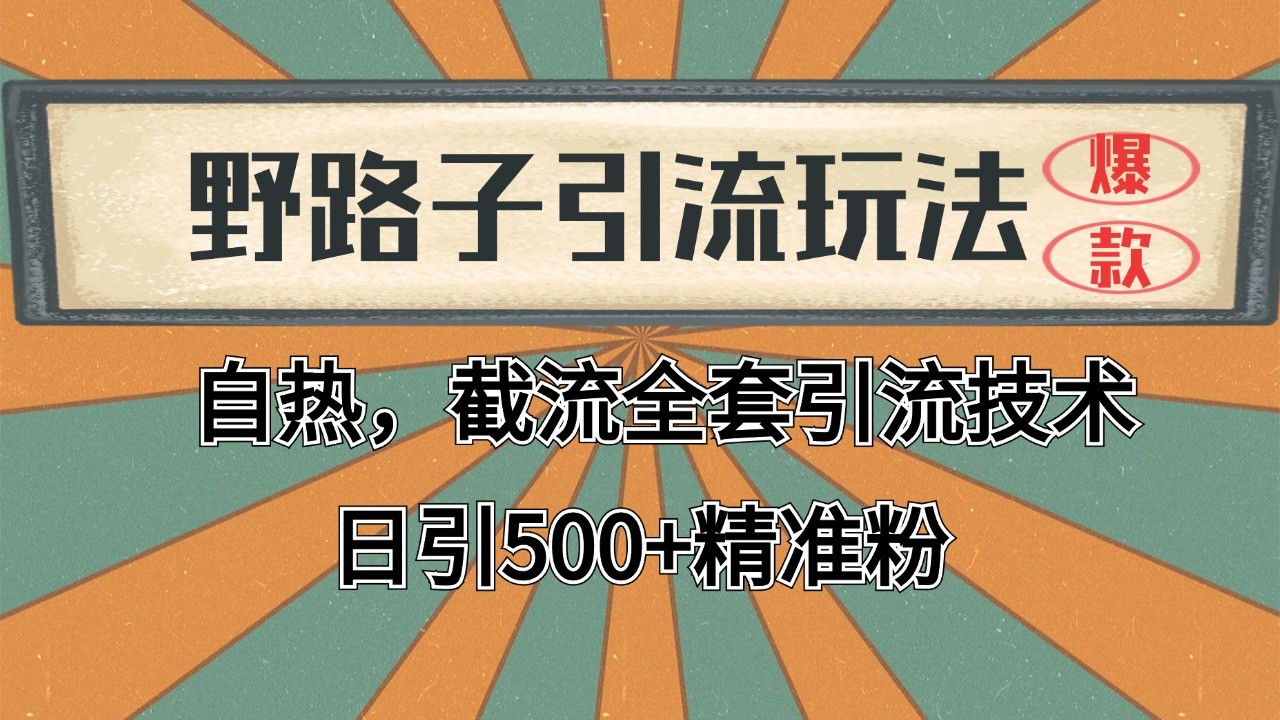 2024首发野路子引流玩法截流自热全平台打法，全自动引流【日引2000+精准客户】-聚业